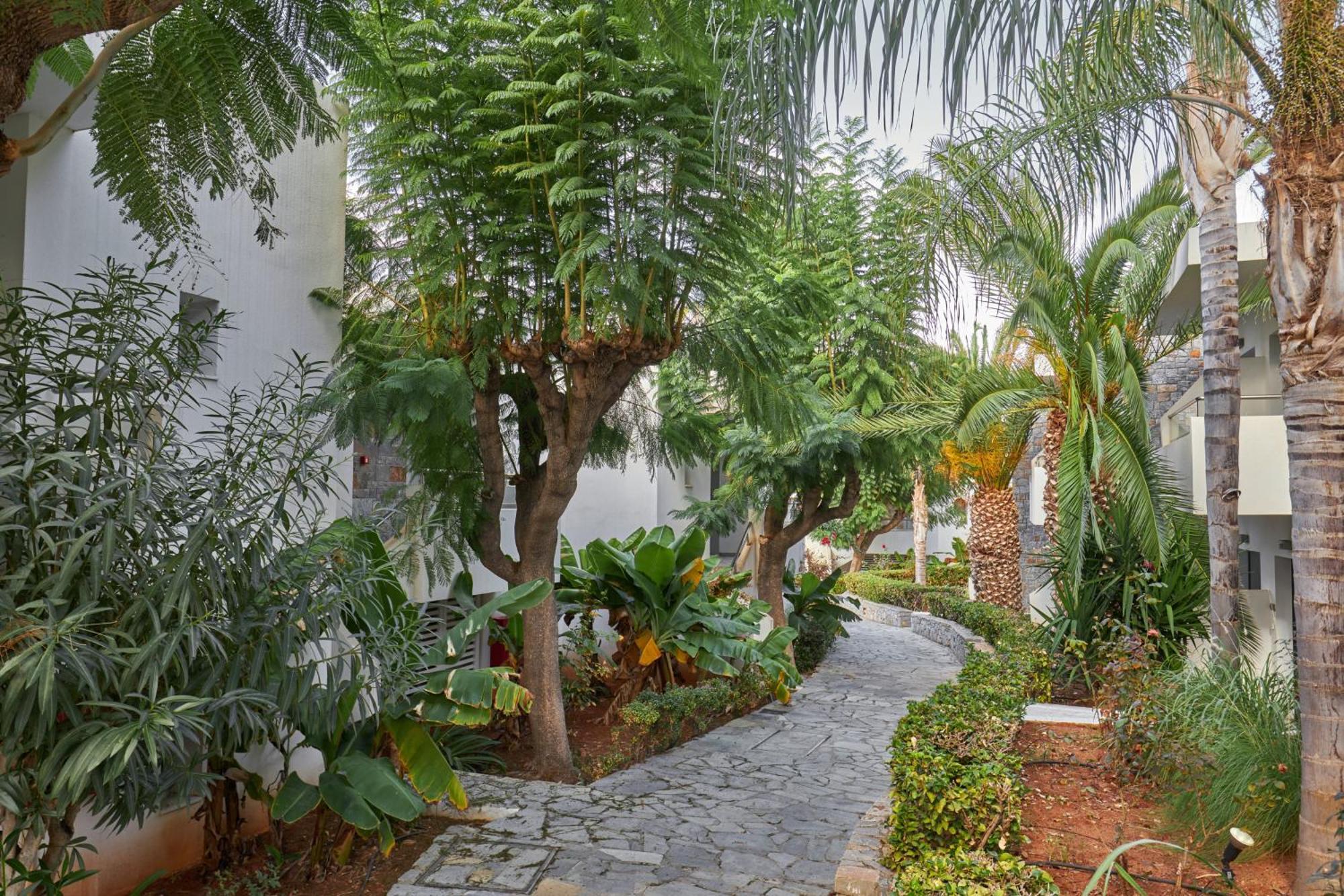 Kyknos Beach Hotel & Bungalows มาเลีย ภายนอก รูปภาพ